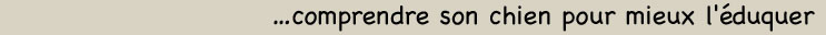 Comprendre son chien...