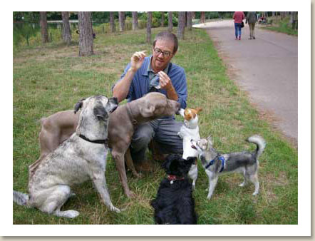 Nicolas Dog Training